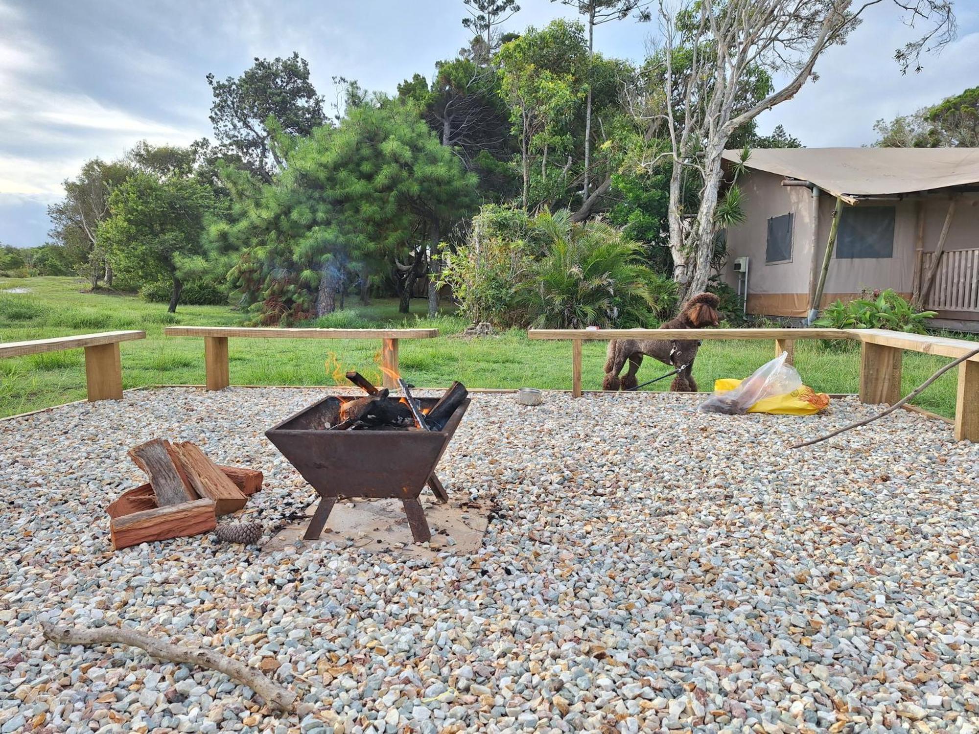 Ballina Beach Nature Resort Buitenkant foto