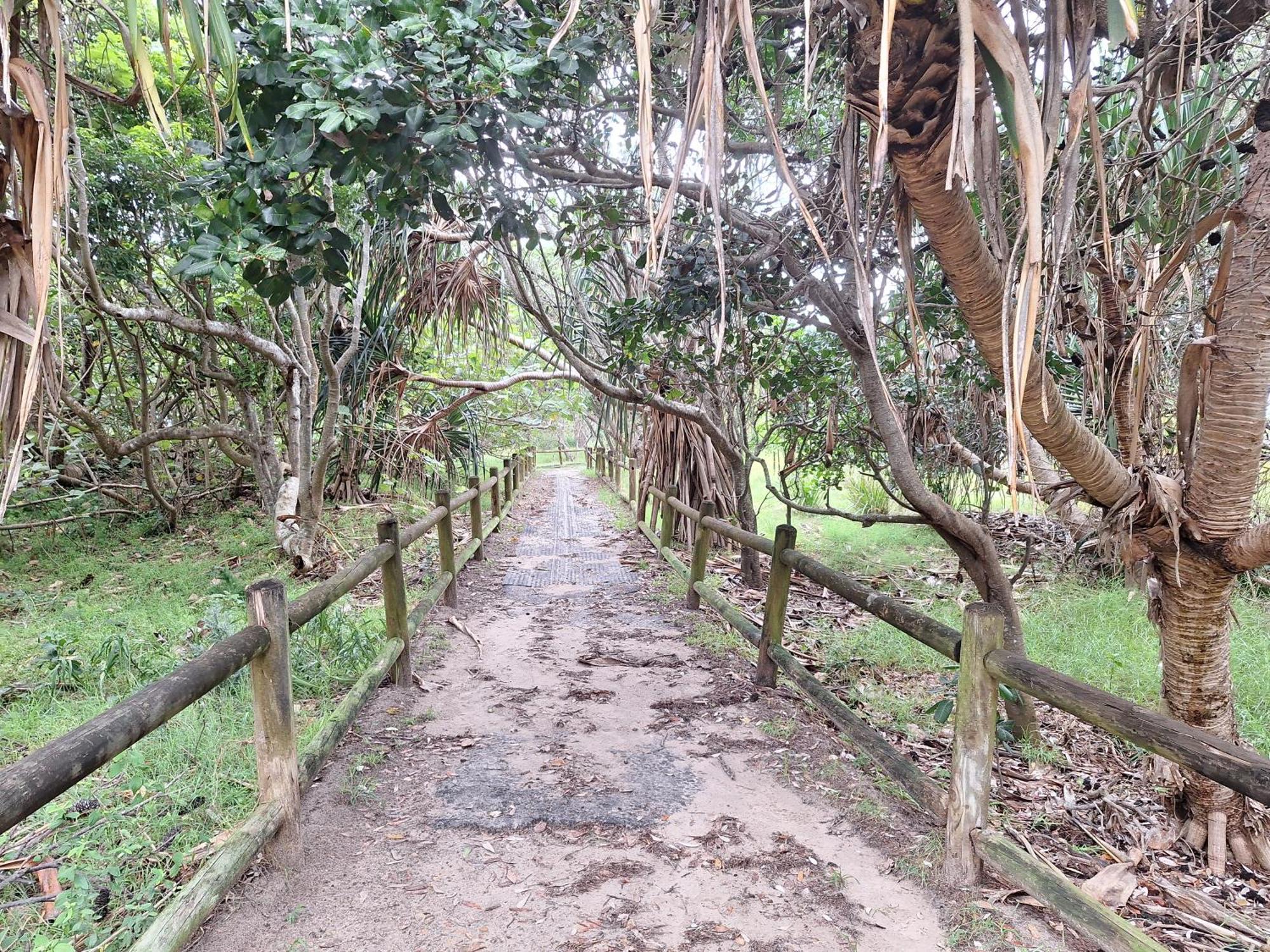 Ballina Beach Nature Resort Buitenkant foto